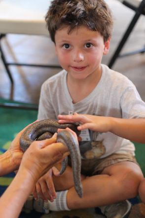 Meeting the Rosy Boa. Photo by Tory Russell