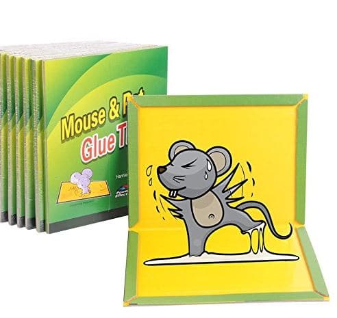 non-toxic sticky glue mouse trap to