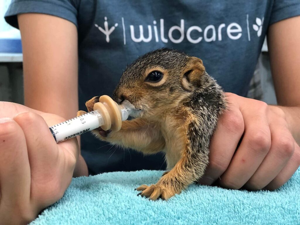 HermanceAlison IMG 7540