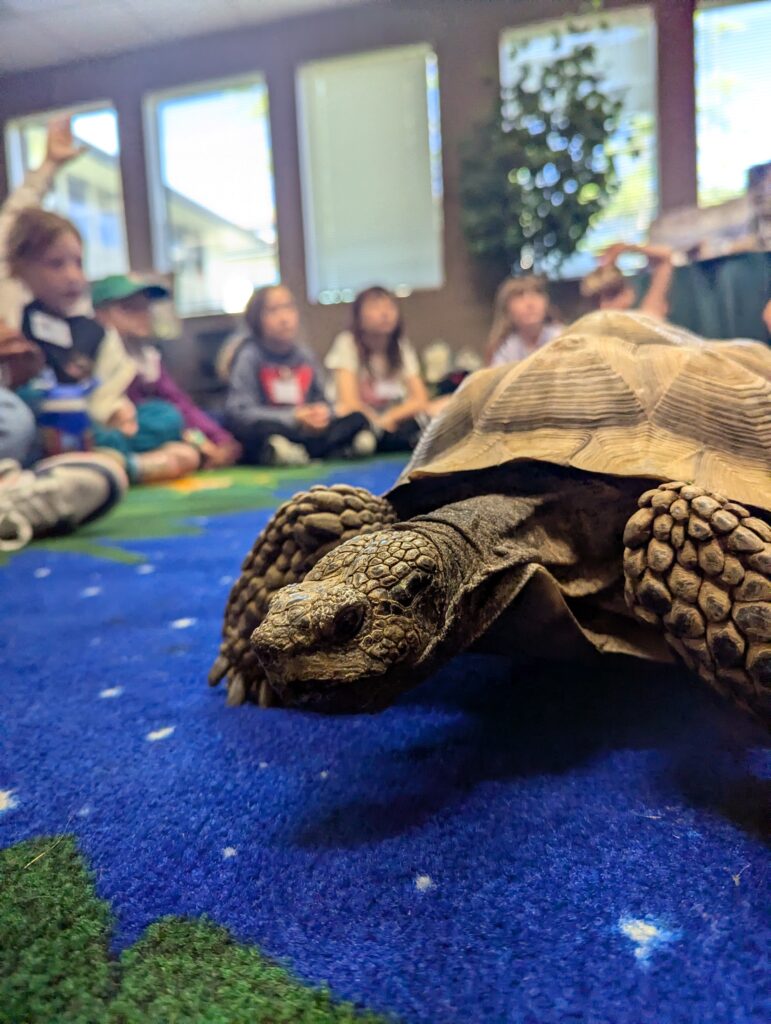 PXL_20250409_175345884