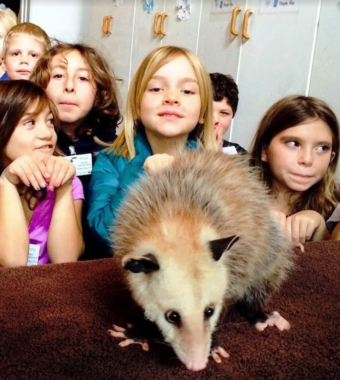 2022 Spring Camp Opossum