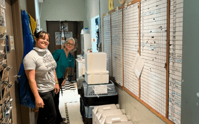 WildCare’s Move + Orphaned Baby Squirrel in Care