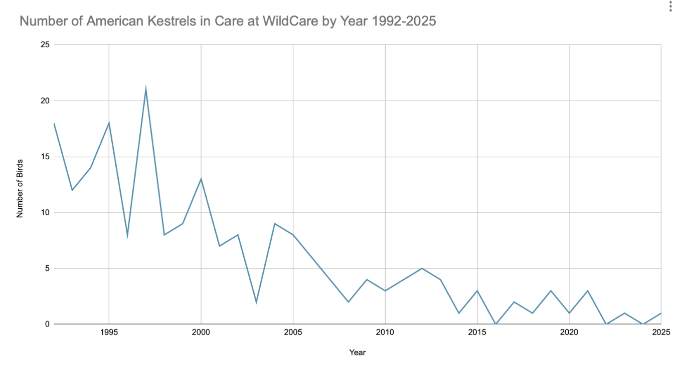 Chart of WildCare Kestrel Patients