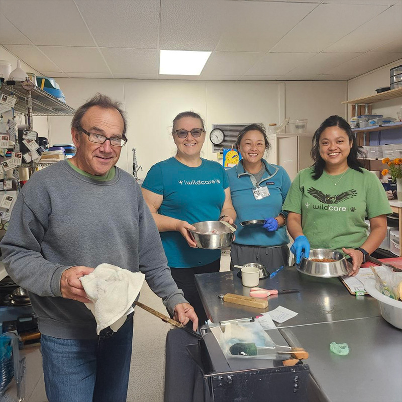 Examining a songbird. Photo by Alison Hermance