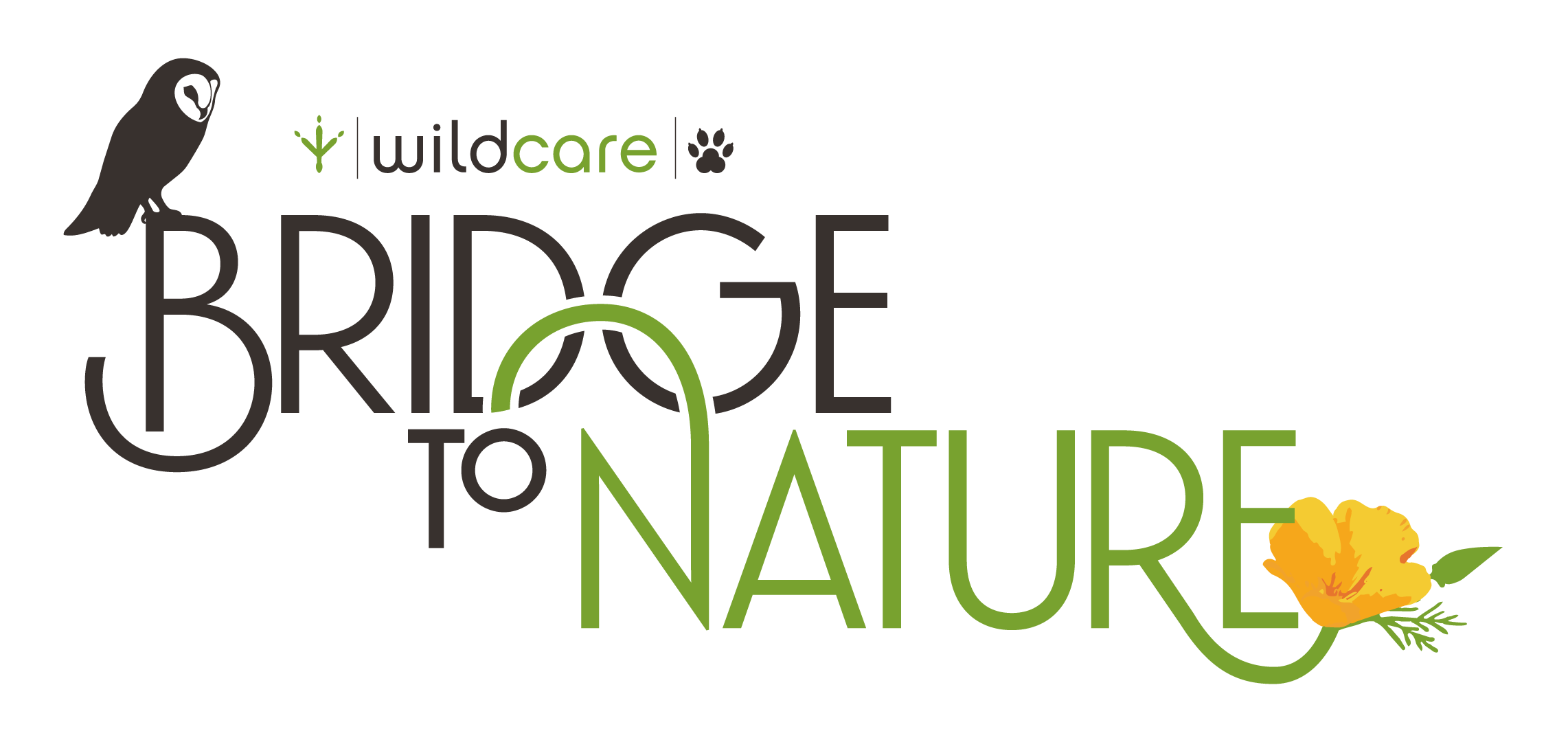 Bridge to Nature logo