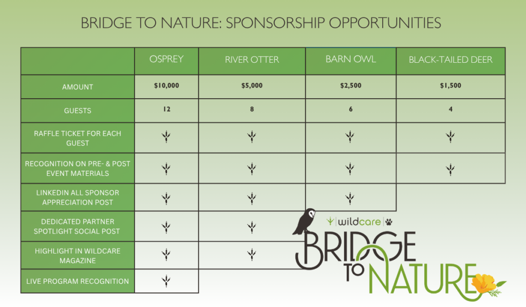 Bridge to Nature Sponsorship 
