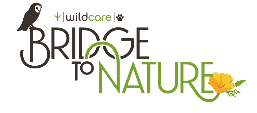 Bridge to Nature: A WildCare Celebration