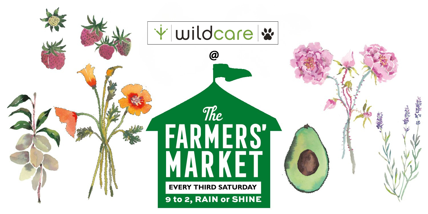 WildCare at Marin Country Mart Farmers' Market