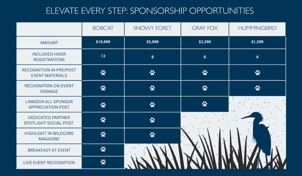 Elevate Every Step Sponsorship
