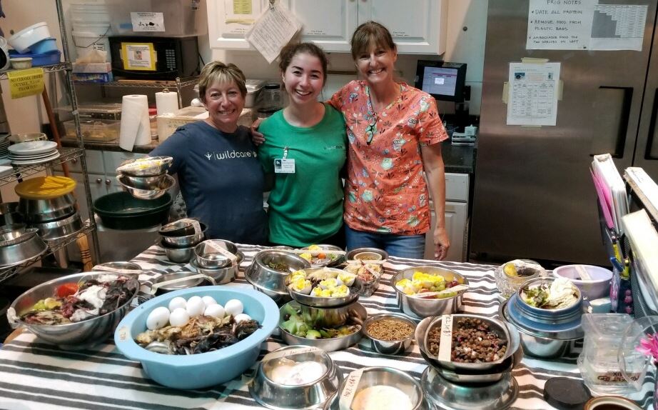 Volunteers preparing wildlife patient meals