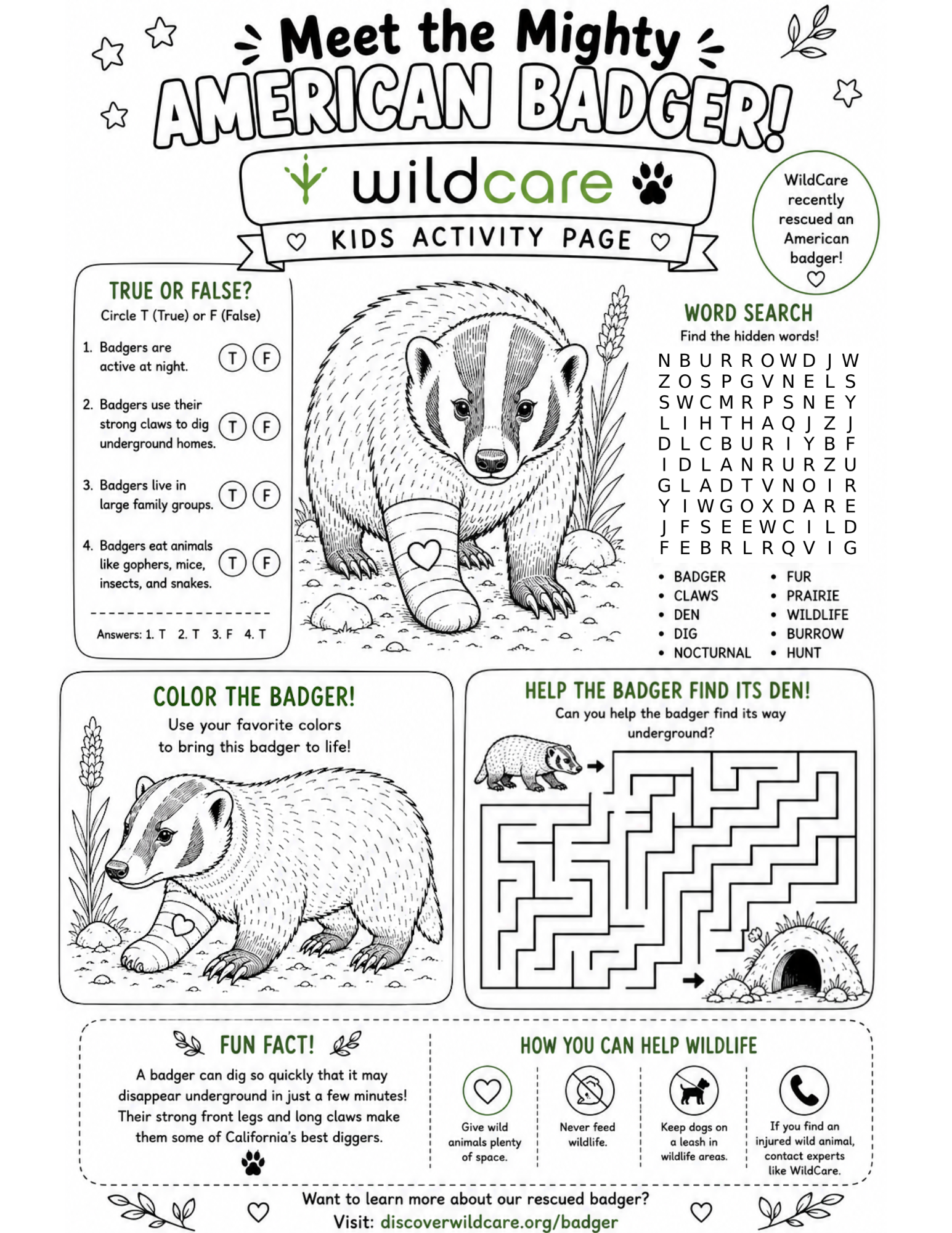 Badger Kids Activity Sheet