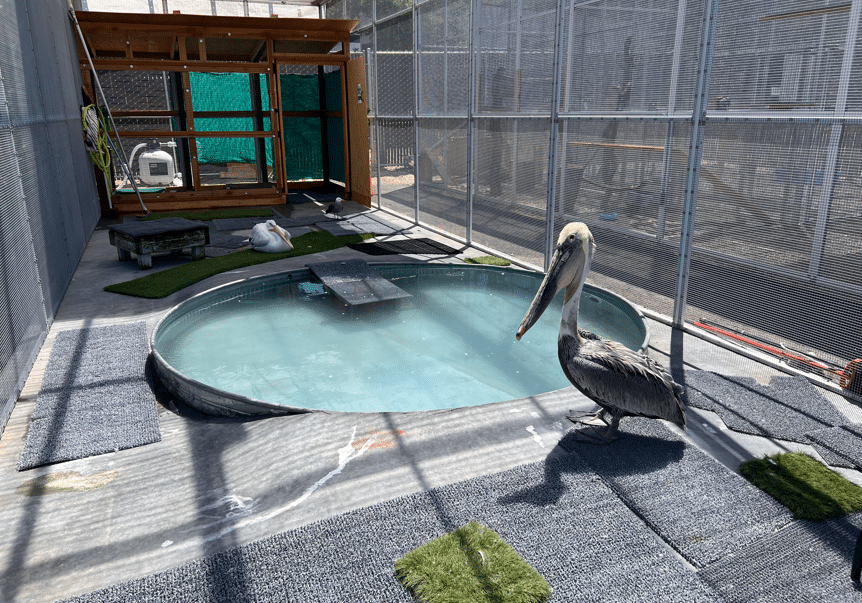 Transition 11 Transition 11